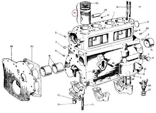 Nash Metropolitan Engine