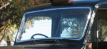 Taxi weather-strip, windscreen